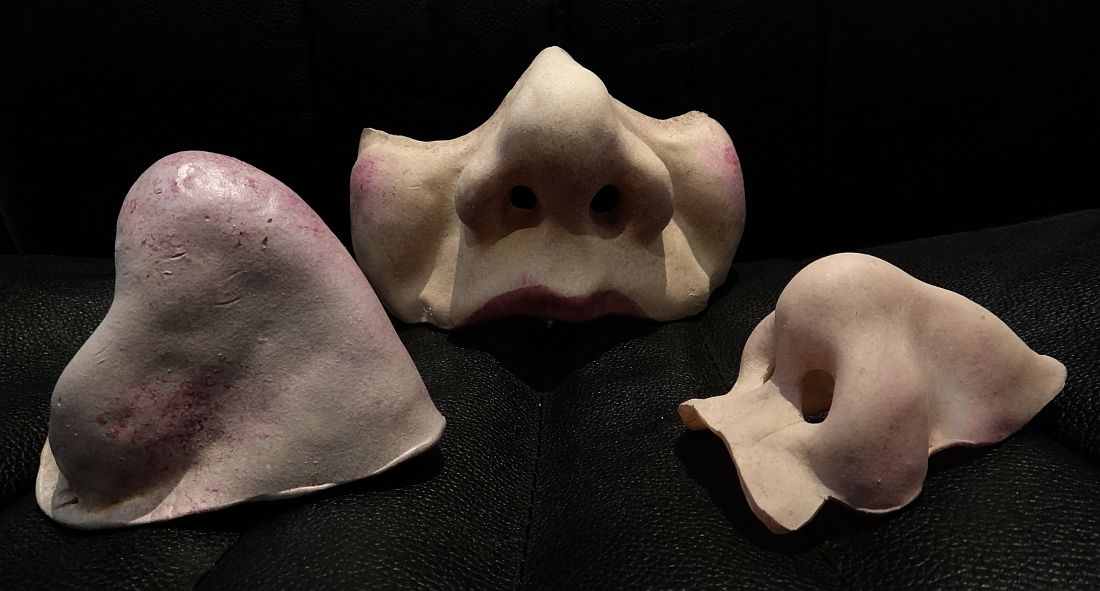 noses and half mask