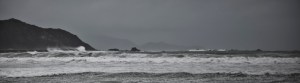 Lyall Bay storm