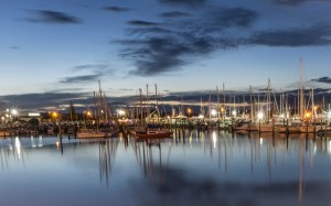 Napier marina