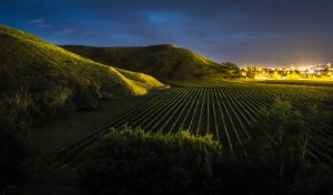 Mission Estate by night