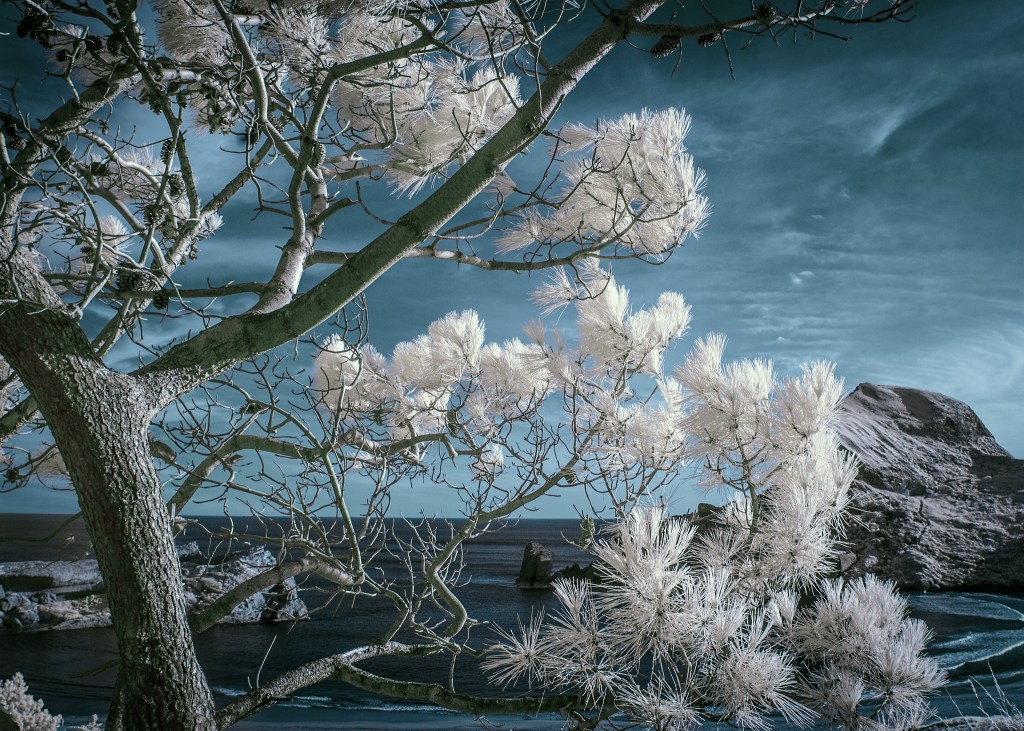 IR Landscape