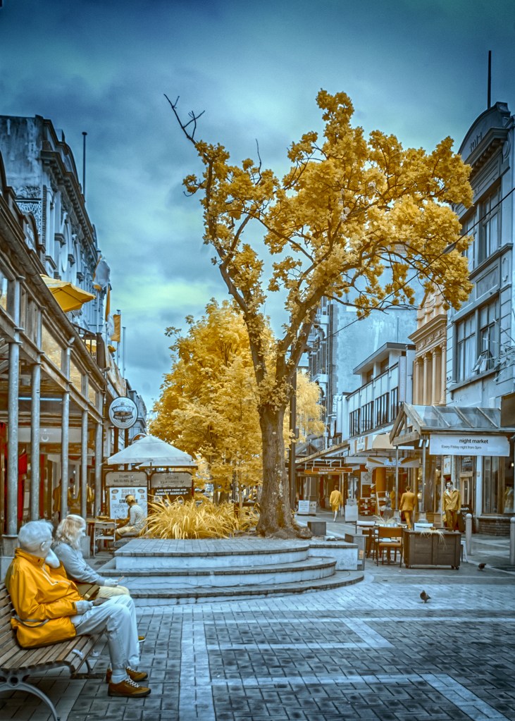 Tree in Cuba Mall