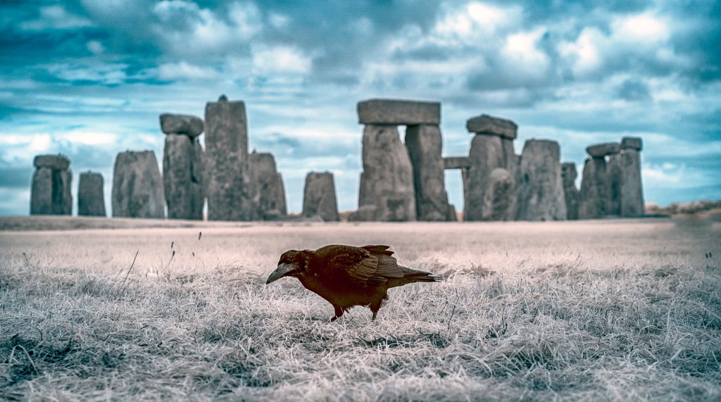 Stonehenge Crow