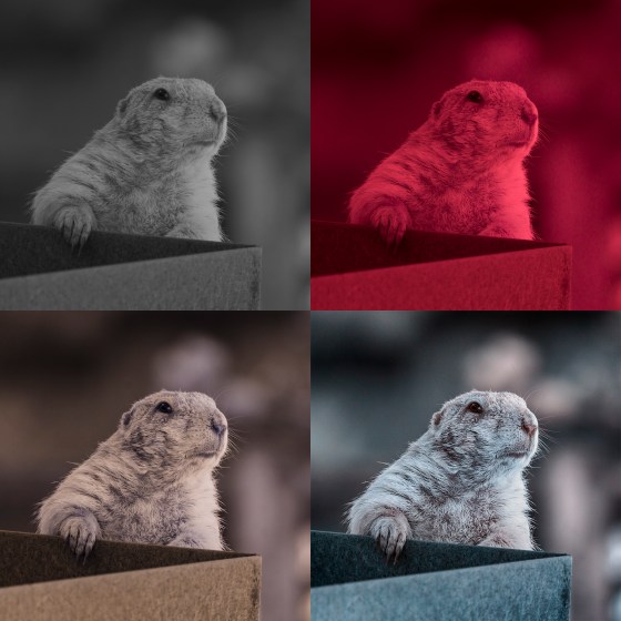 ir mod camera processing