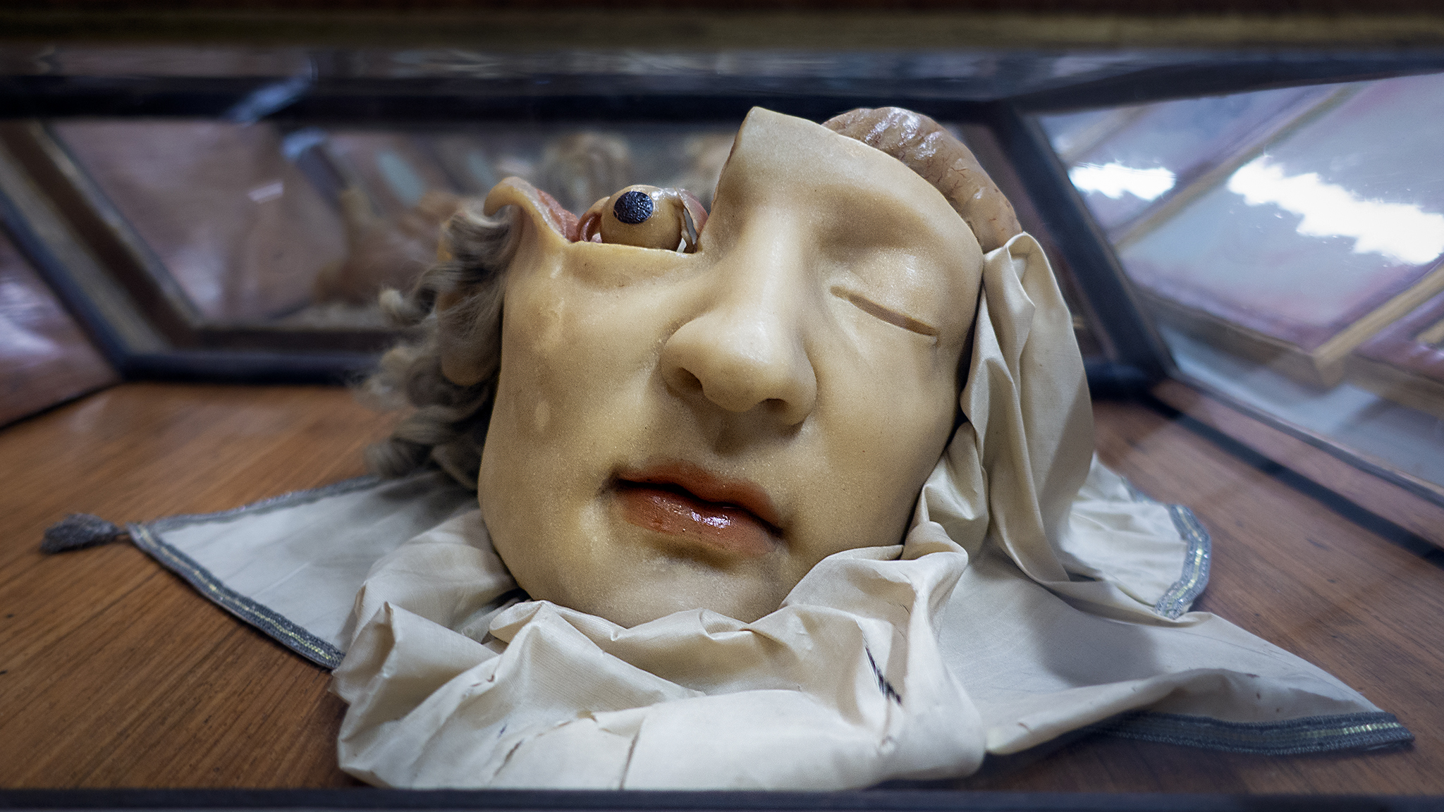 Wax anatomy model, calm face