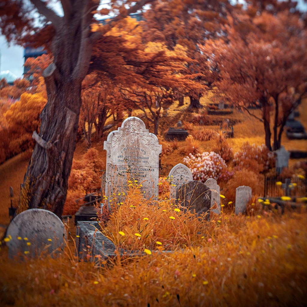 Mount Street Cemetery 