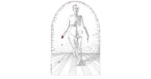 stippled drawing of half-woman half-skeleton