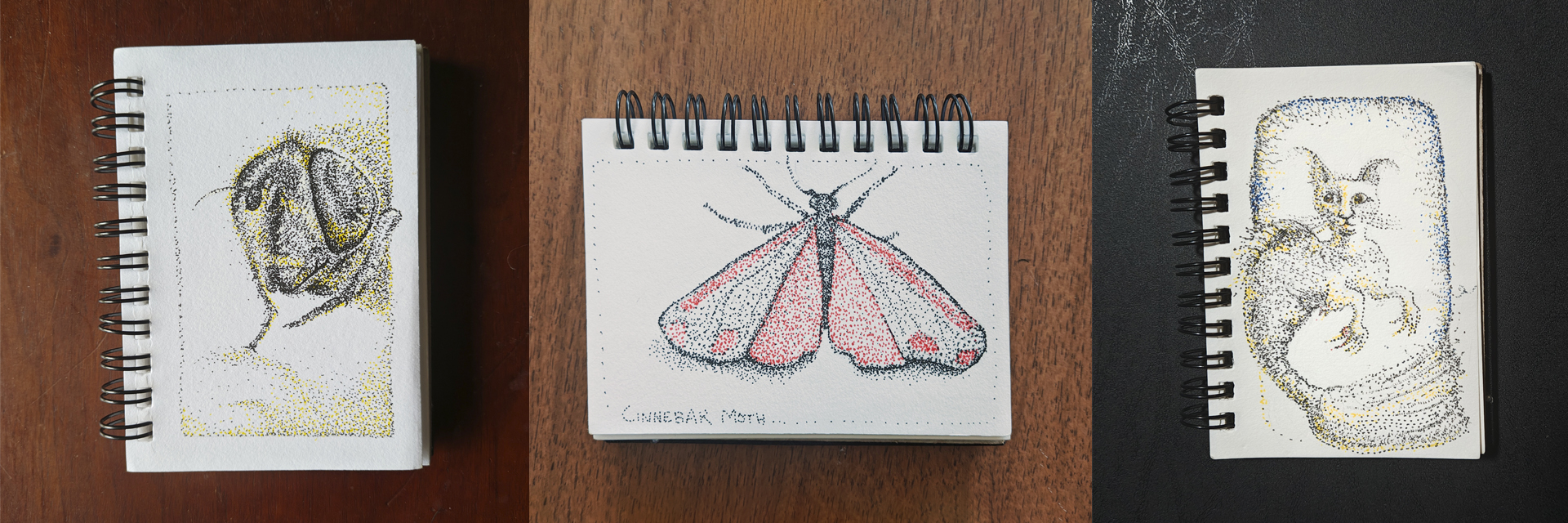 3 small drawings, a fly, a moth and a weird cat fish thing